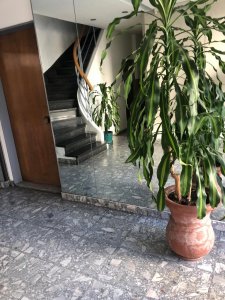 Alquiler Depto 2 Ambientes José Bonifacio 501