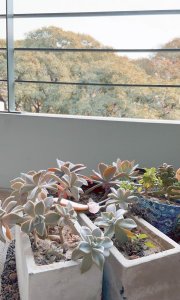 Star Tower Matias Suriza 418 Olivos Dueño Directo