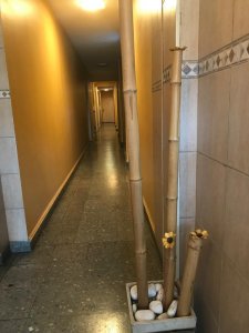 Departamento Amoblado con Dos Patios