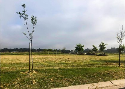 Lote San Pablo 581 m²