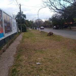 Venta de Excelente Lote 1.000 m Avda. Spilimbergo a 3 Cuadras Rafael Nuñez