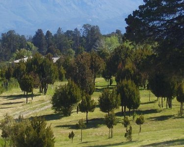 Terreno Camino a Refugio Wilson en Trevelin Chubut