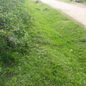 Dueño Vende Terreno en El Cazador de Escobar