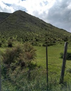 Tres Terrenos de 1.067 m Cada Uno