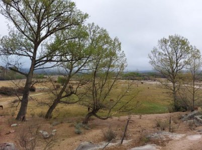 Tres Terrenos de 1.067 m Cada Uno